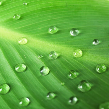 Kategorija proizvoda Solvent, UV i Latex - Multijet